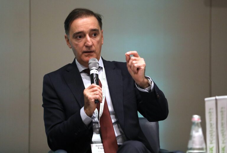 Safeguard cap should have been announced earlier: Fernando Espada