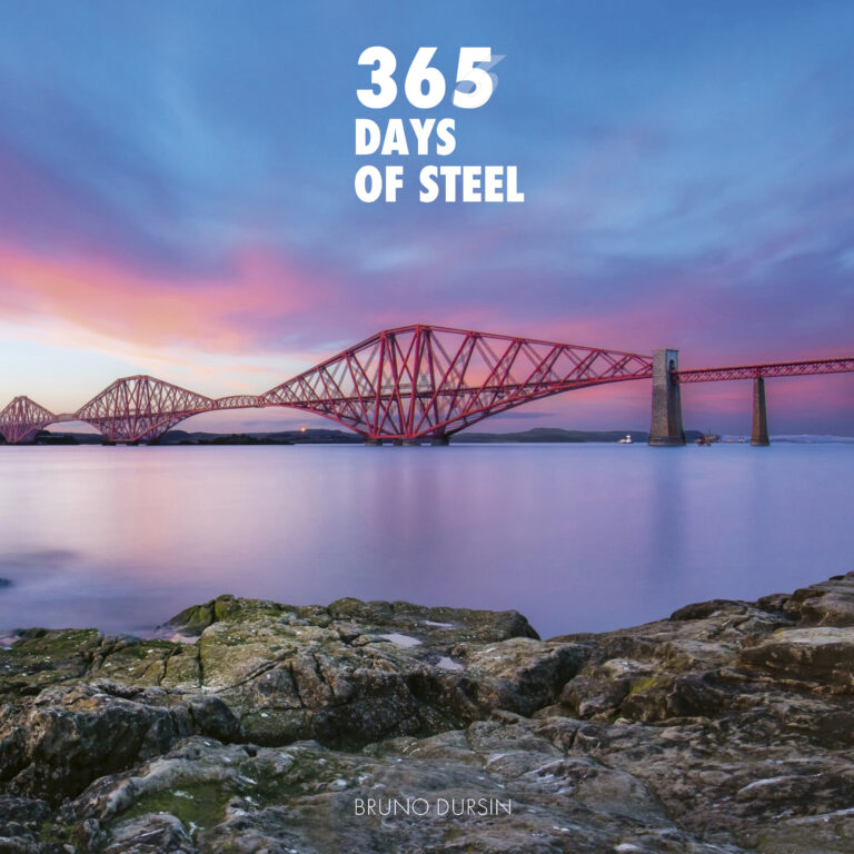 365 Days of Steel: exploring the endless tapestry of Steel in Construction, Design and Art
